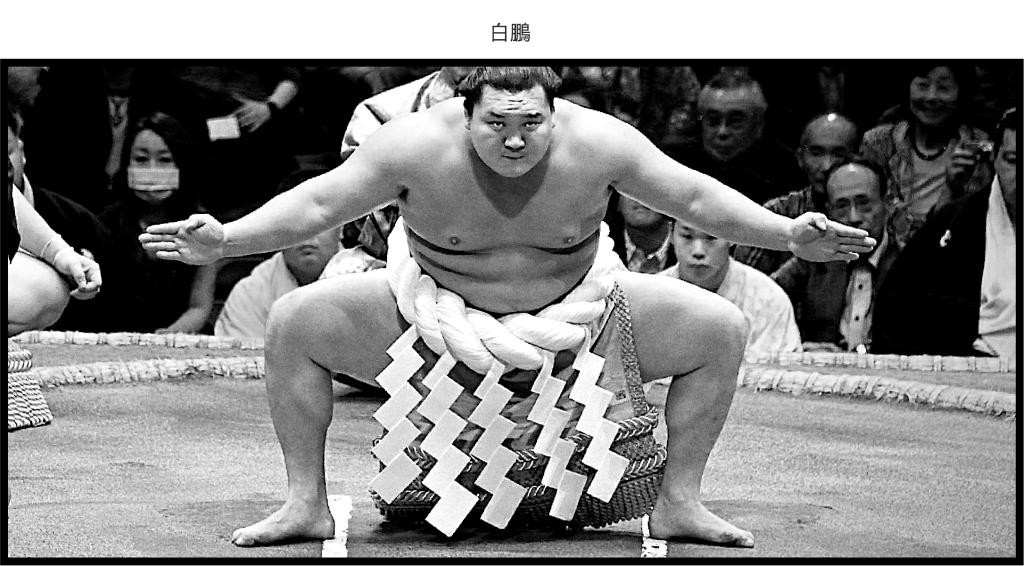 The highest-ranked sumo wrestlers like Hakuho wear the yokozuna rope during dohyo-iri (the ring-entering ceremony).